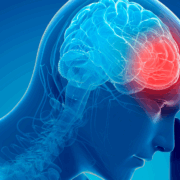 An illustration of a human head is shown in profile. Like an X-ray, we can see the spinal column and brain. Everything is in blue colors except for an area at the front of the brain that is in red. And the human his holding their hand to their head.