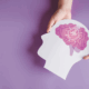 The image is mostly a lilac-covered background with two white hands holding a one-dimensional cutout of a head with a brain showing in pink colors.